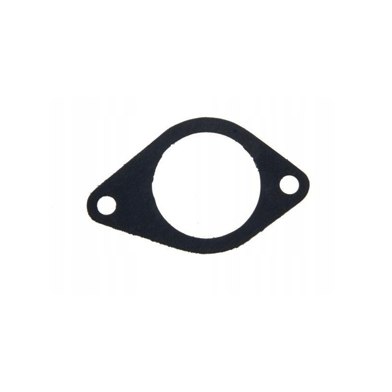 Intake manifold gasket c 385