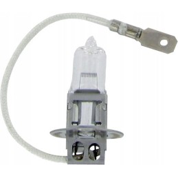 Bulb h3 12v 100w not homologated 2 pcs