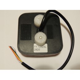 Tail lamp with dynamic LED neon TT12523 L