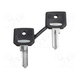 1 pcs x SCHNEIDER ELECTRIC - ZBD8D1 - Key, 22mm, Harmony XB4, 2pcs.