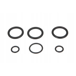 Al207509 distributor seal kit