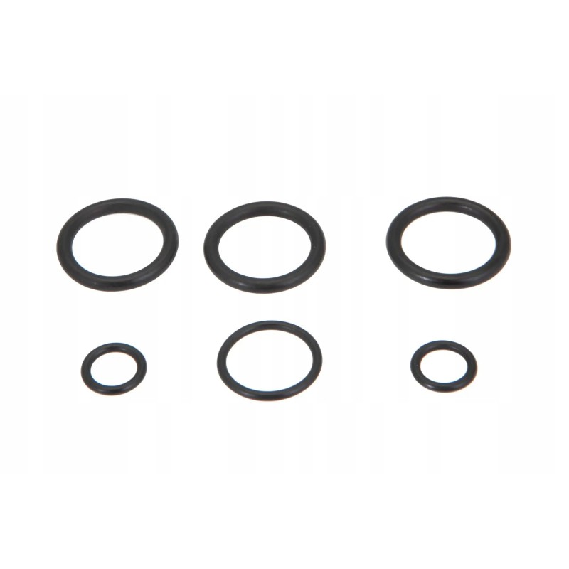 Al207509 distributor seal kit