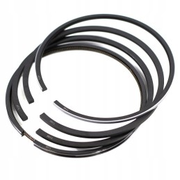 Piston rings set zetor 100mm 4 p 10000r00 8