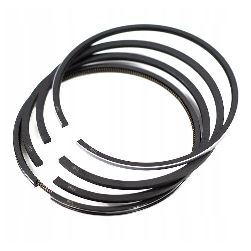Piston rings set zetor 100mm 4 p 10000r00 8