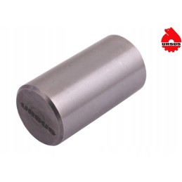 Satellite pin of the mf3 reducer, original ursus