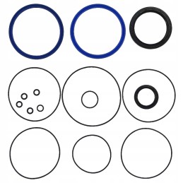 C 385 old type servo seal set