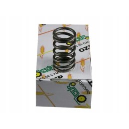 Deutz internal valve spring