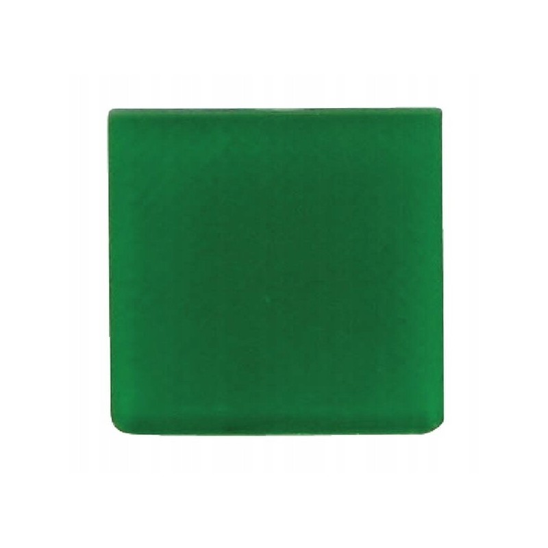 Symbol for switches, green 9xt713630001 hella