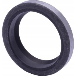 Pierscien 4997684n raico