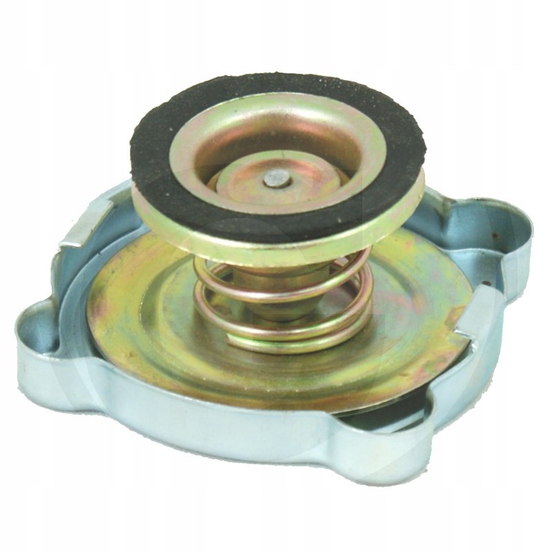 Radiator cap ursus c 330 330 42310160
