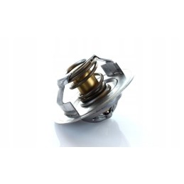 Thermostat ford 83913835 polmo