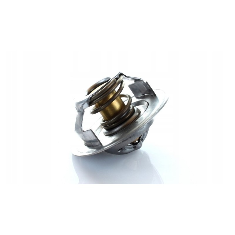 Thermostat ford 83913835 polmo