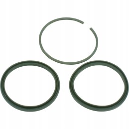 Set of rings for the k 166 actuator