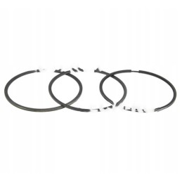 Set of engine piston rings nominal q 106