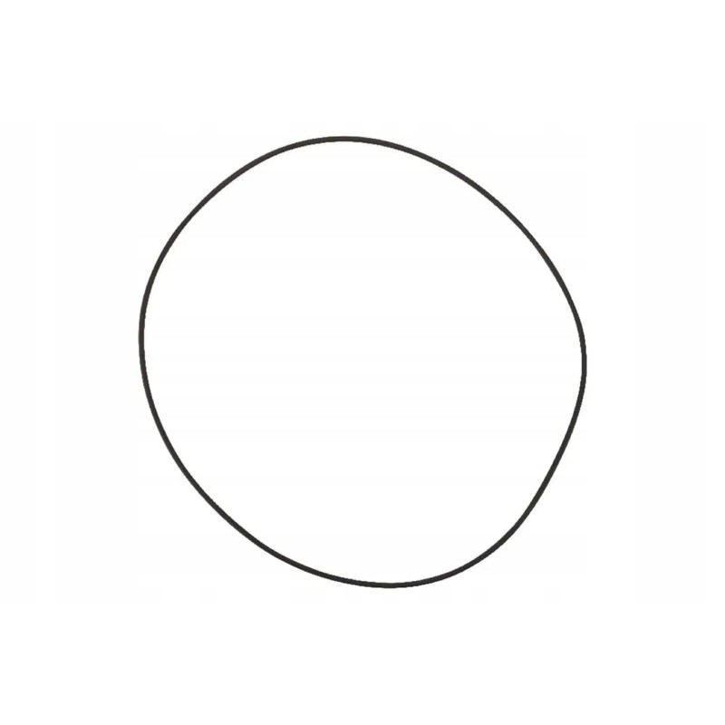 6000103488 o-ring seal