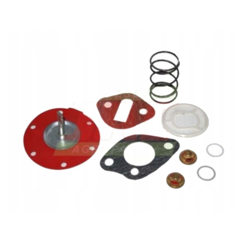 Harvester pump repair kit mf 1882944m92