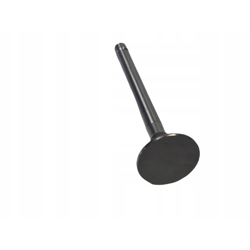 Ursus C 360 exhaust valve