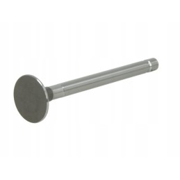 Ursus C 360 exhaust valve