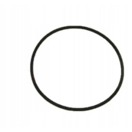 Sealing ring 168 x 5 7 case