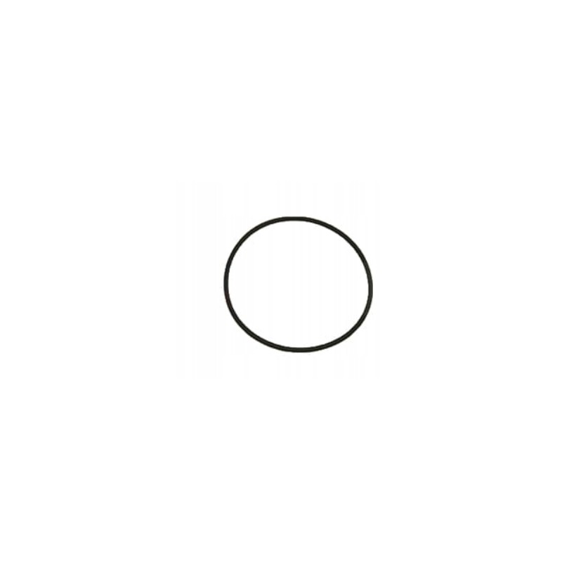 Sealing ring 168 x 5 7 case