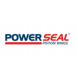 Piston rings kubota v1305 v1502 76 mm standard