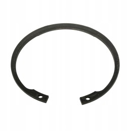 100w internal seger ring