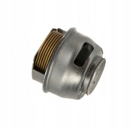 Ursus c 330 thermostat 50000821