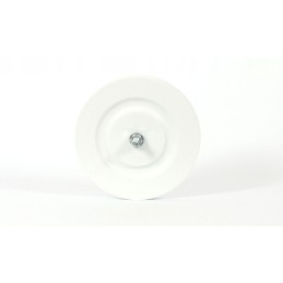 Reflective white screw