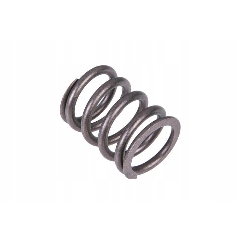 4224316m1 valve spring