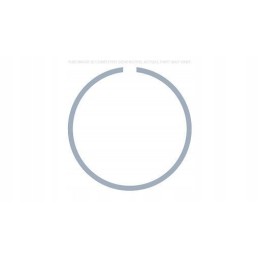 New Holland Case securing ring 81863364