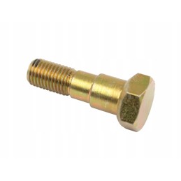 Screw c385 80227004