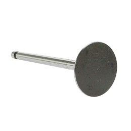 C 360 intake valve c 360 andoria mot 50505050am pak