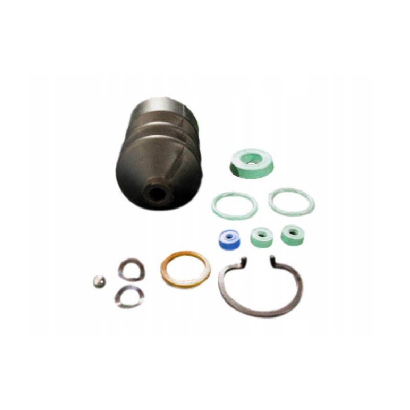 Brake pump repair kit mf 1810833m91