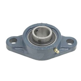 Bearing in flange housing ucfl 206 ucfl206