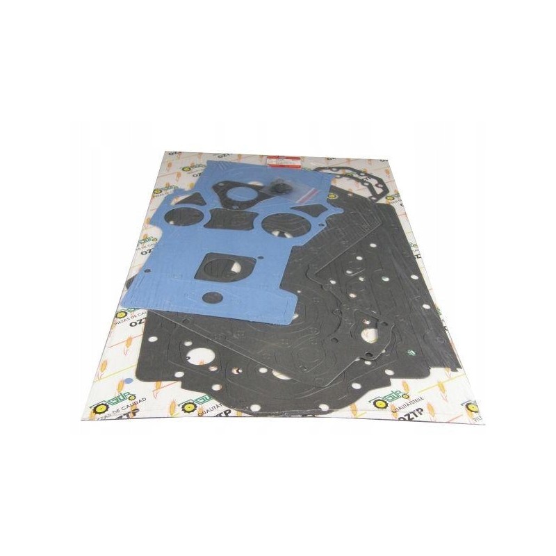 Set of head gaskets 3638660m91 363