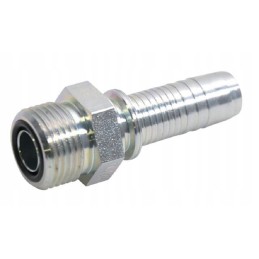 Ending dn10 11 16 orfs