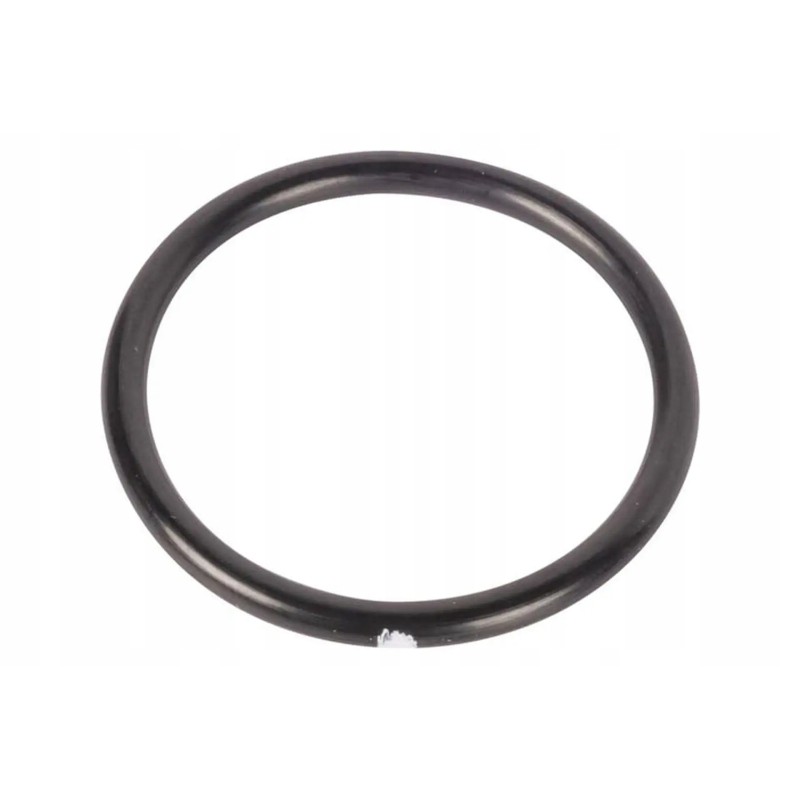 N131838 o ring
