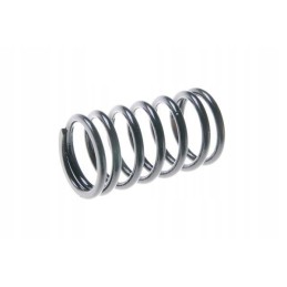 Internal valve spring c 385