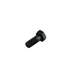 Flywheel bolt 14x1 5x35 c 385