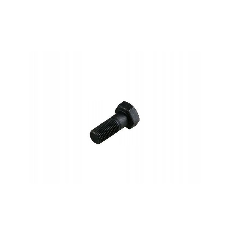 Flywheel bolt 14x1 5x35 c 385