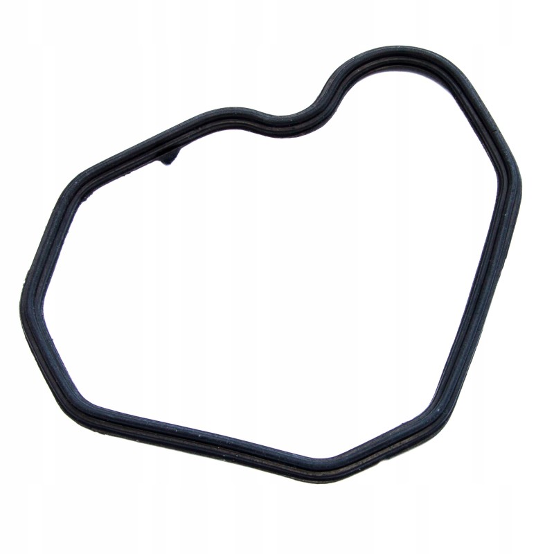 Rubber head cover gasket C360 Zetor 50505220