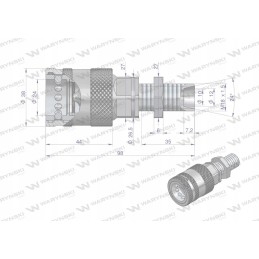 Hydraulic quick connector, long socket with eliminato