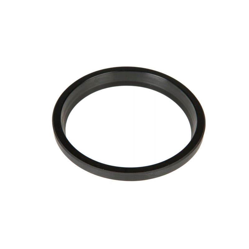 X540413601000 cylinder scraper ring