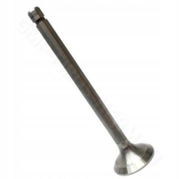 Mtz d 240 head exhaust valve 2401007015