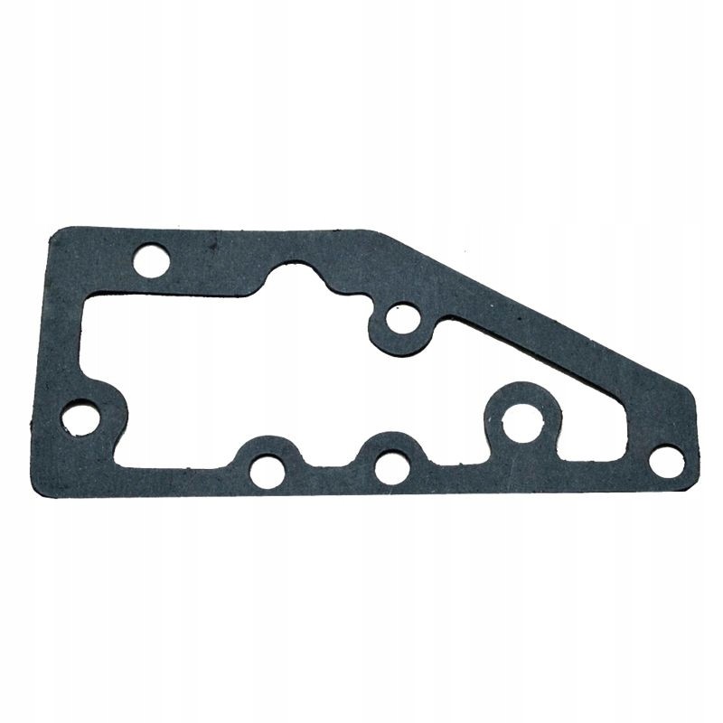 Thermostat housing gasket 0 49 04 82
