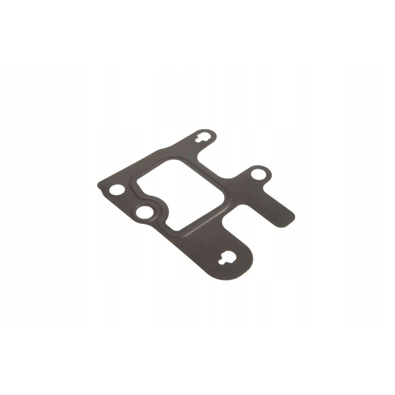 F934201610140 thermostat housing gasket