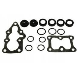 Set of distributor gaskets r755 t 25 wladimire