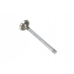 747552m1 exhaust valve