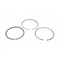 F743200310040 piston ring set