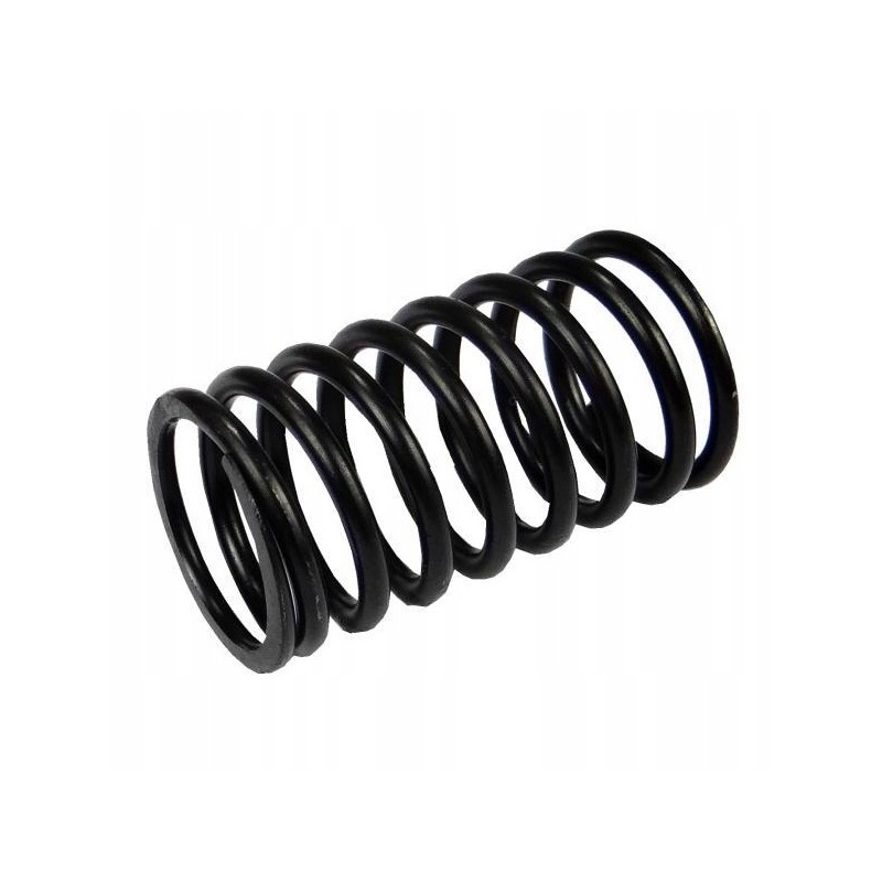 External valve spring c330 original 50001091